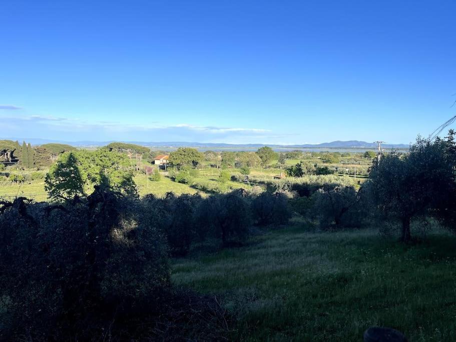Farm stay San Guglielmo Castiglione della Pescaia
